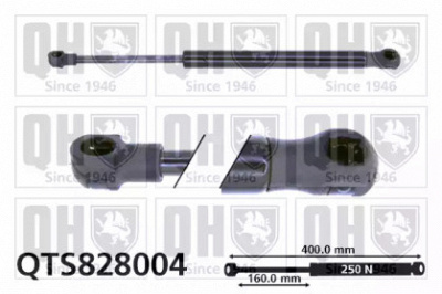 QUINTON HAZELL qts828004 -  